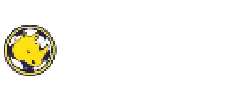 Spinorhino